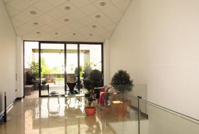 Zero comision, 420mp vila birou - comercial, Eminescu, 8' metrou - 6