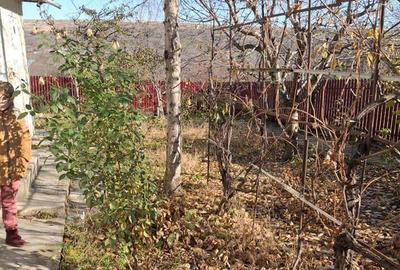 Casa...sat.Chiraftei.....com.Mastacani...jud.Galati - 8