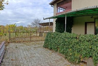 Vând casă în Zimandu Nou Vând casă în Zimandu Nou - 3