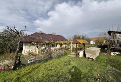 Vand casa locuibila 3 camere sat Vitanesti jud. Teleorman - 5