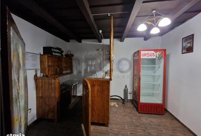 Casă cu 3 camere cu Teren 750 Mp în Bicaci - 10