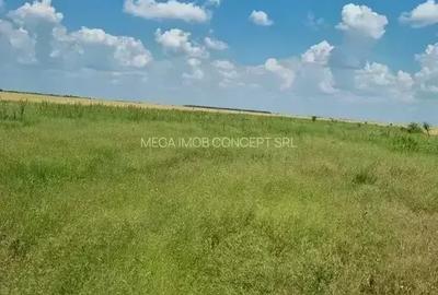 Teren intravilan de 428.98999023438 mp, în Vadu Anei - 1