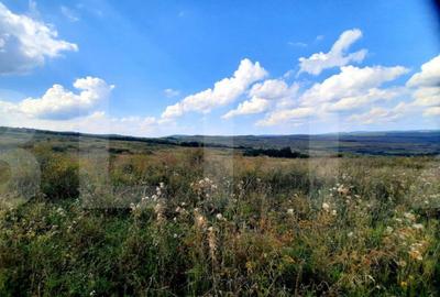 Teren de 5800 mp, în Pădureni (Chinteni) - 5