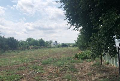 Silistea Snagovului, teren intravilan - 7