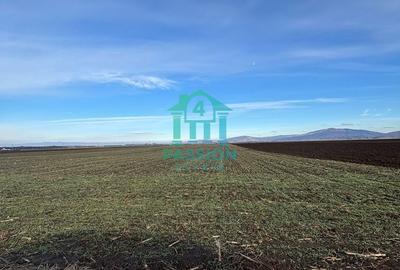 Spațiu comercial, în Hărman