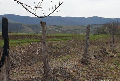 Teren de 2200 mp, în Mâsca - 5
