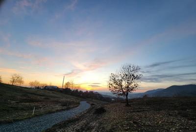 Fragilor, 8 ari -1ha teren - 3