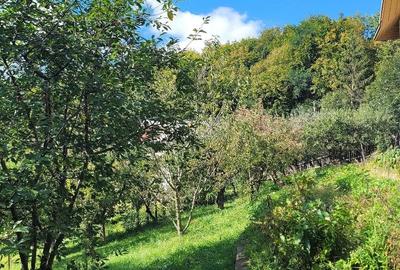 Casă cu Teren 26 Mp în Ilișești - 2