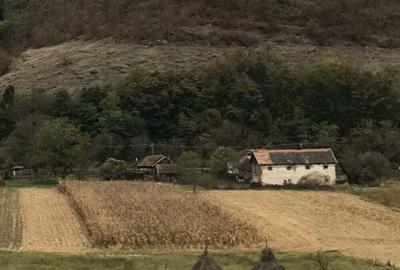 Teren de 6700 mp, în Buceava-Șoimuș - 9