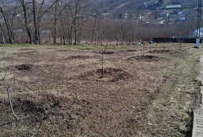 Spațiu comercial, în Muntenii de Jos - 13