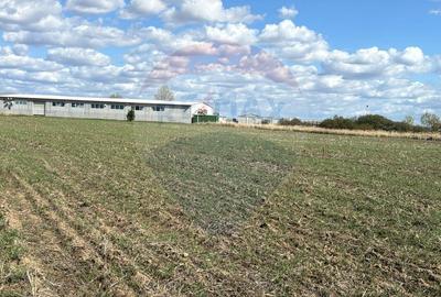 Teren Construcții intravilan de 1503 mp, în Nojorid - 6