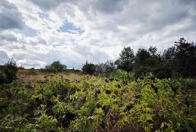 Teren pentru casa cu vedere frumoasa - 4