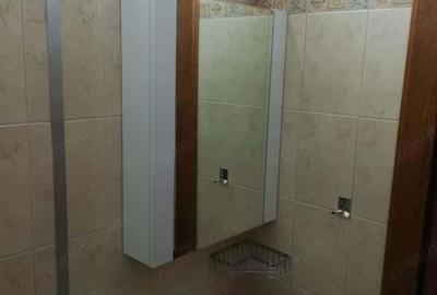 Inchiriere apartament cu 2 camere in zona Tineretului - 2