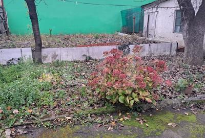 Casa cu Potential in Brasov – Ideala pentru Locuinta sau Afacere - 5