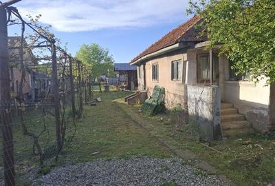 Spațiu comercial, în Bălești - 2