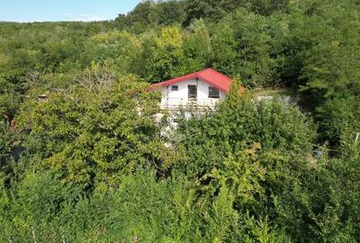 Vand casa ca la munte dar în Iasi - 4