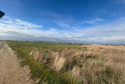 Teren extravilan, 392 mp, Carcea - 2