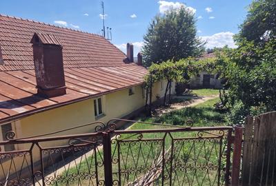 Casă individuală cu 5 camere cu Teren 10426 Mp în Est - 21