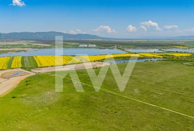 Teren agricol extravilan de 4700 mp, în Codlea - 10