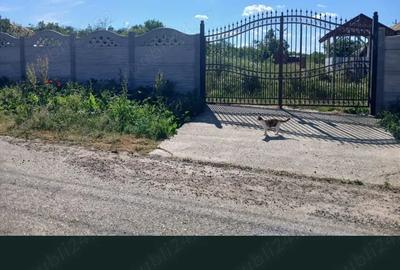 Casă cu Teren 2000 Mp în Stoenești