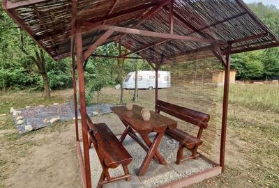 Teren de 986 mp, în Cosminele - 9