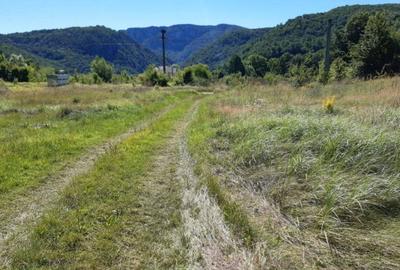 Teren intravilan de 3597 mp, în Eșelnița - 2