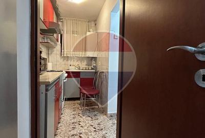 Apartament cu 2 camere decomandat în Cetate - 7