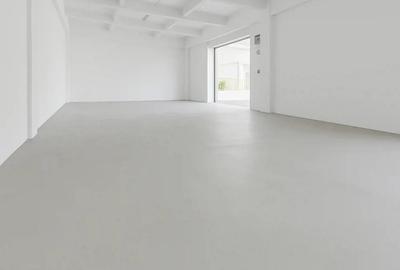 Inchiriez hala calea borsului - 3