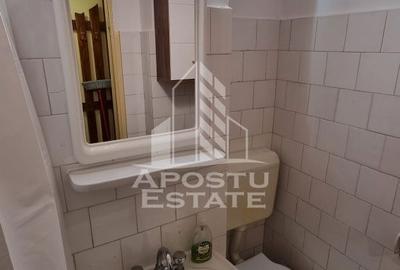 Apartament cu 2 camere, mobilat în Șagului