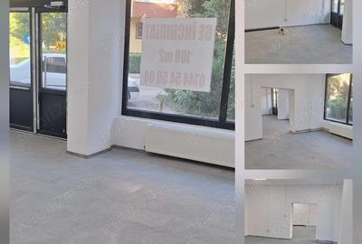 Spațiu comercial, de 700 mp, în Central - 2