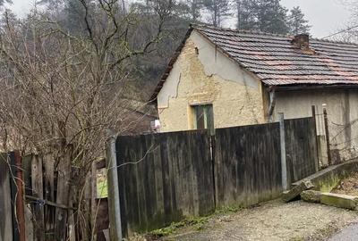 Casă cu Teren 790 Mp în Central - 3