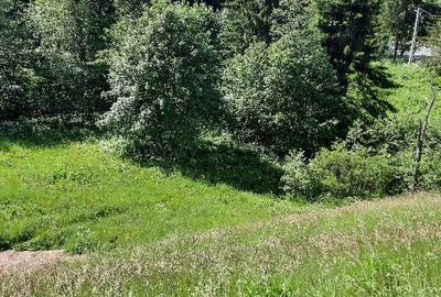 Predeal-Teren intravilan de vanzare - 5