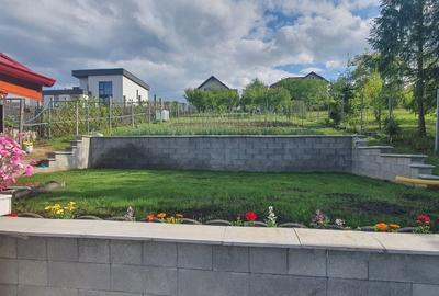 Teren cu AUTORIZATIE constructie casa plus CABANA LIVEZENI, 1824 MP - 3