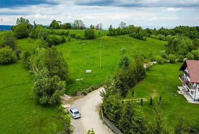 Film! 11.000 mp,pozitionare valoroasa,conditii apreciabile, Sohodol, Bran, Braso Film! 11.000 mp,pozitionare valoroasa,conditii apreciabile, Sohodol, Bran, Braso - 4