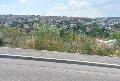 VANZARE DOUA TERENURI INTRAVILANE ALATURATE IN DEZMIR