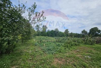 Casă cu Teren 4484 Mp în Fădimac - 1
