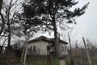 Casă cu Teren 2714 Mp în Central - 4