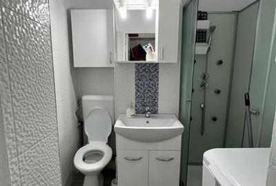 Apart 2 camere Sagului- Muzicescu renovat - 8