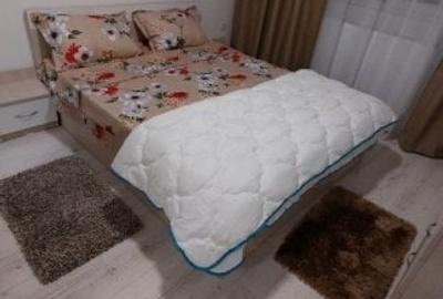 Inchiriere Apartament 2 Camere Decomandat-Militari Residence - 2