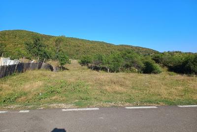 Spațiu comercial, în Central - 4