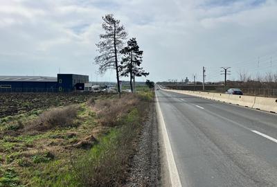 Teren Construcții intravilan de 5000 mp, în Est