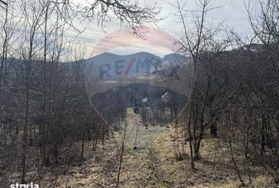 Teren de 1271 mp, în Livezile - 2