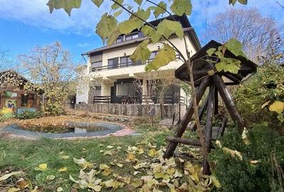 Vila moderna P+1+M, finisaje premium, teren 1.871 mp,acces asfalt, vie ?i livada Dae?ti - 17