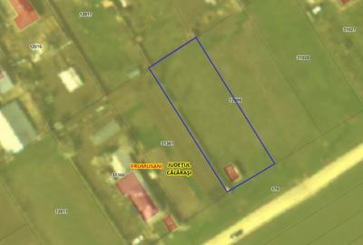 Teren intravilan Frumusani. Locatie excelenta. - 3