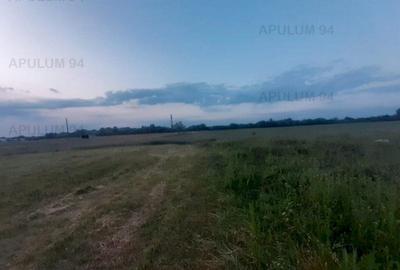 Teren aproape de Bucuresti langa padure - 18