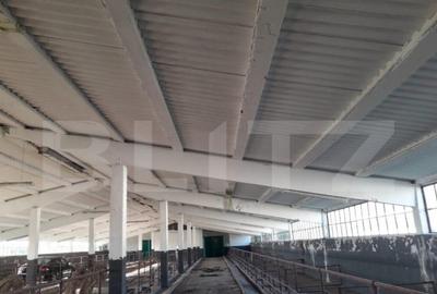 Teren de 950000 mp, în Central