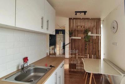 Apartament 2 camere de inchiriat, 47 mp cu terasa 21 mp, str Razoare Vivo - 3