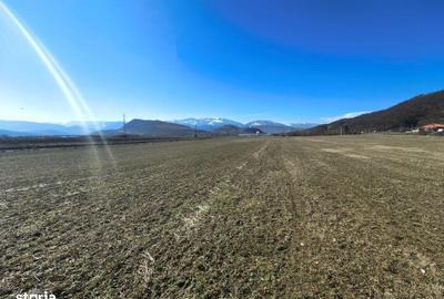 Teren de 2800 mp, în Turnu Roșu - 13