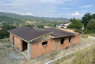 Casă cu Teren 3600 Mp în Vlădești - 6