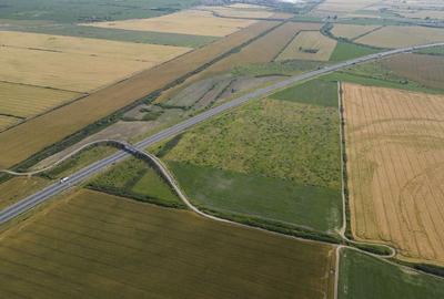 Teren 12 ha la Autostrada A1 cu PUZ aprobat - 2